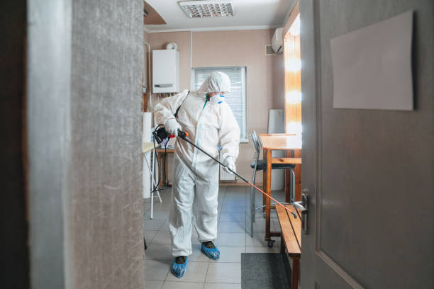 Best Water Damage & Mold Remediation  in Indian Hills, NM