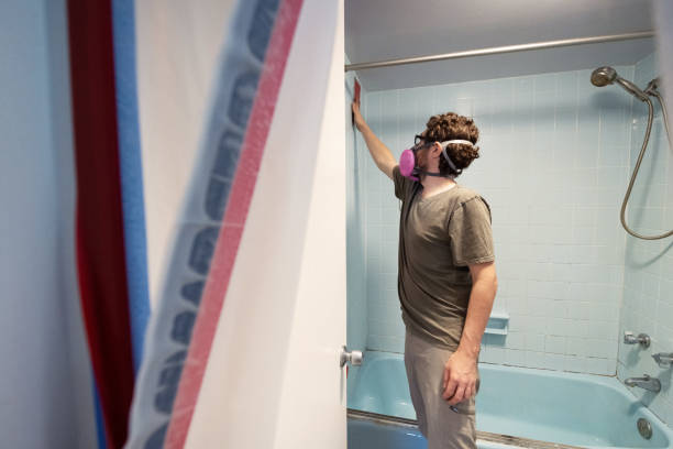 Best Mold Damage Restoration  in Indian Hills, NM