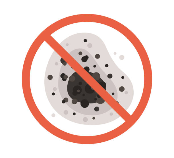 Biohazard Mold Removal in Indian Hills, NM