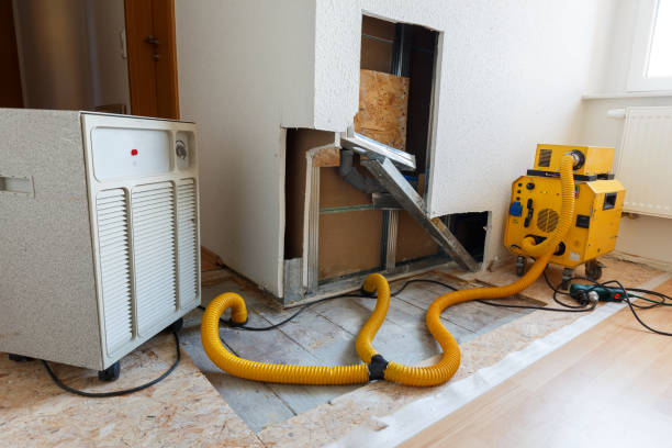 Best Dehumidification Services  in Indian Hills, NM