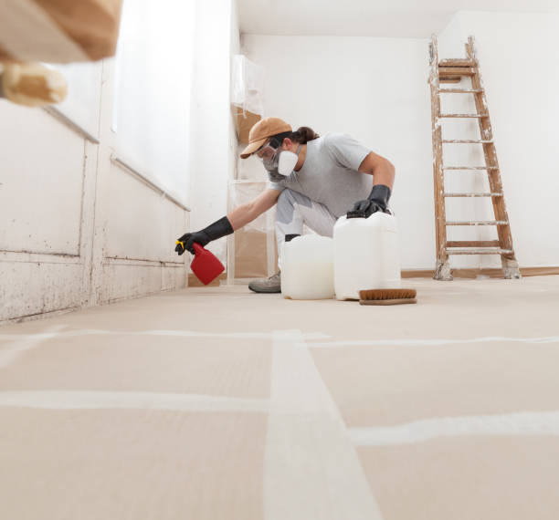 Best Asbestos and Lead Testing During Mold Inspection  in Indian Hills, NM